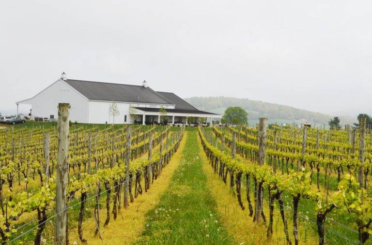 Big Cork Vineyards A BIG Reason To Take MD Wine Seriously The Fermented Fruit